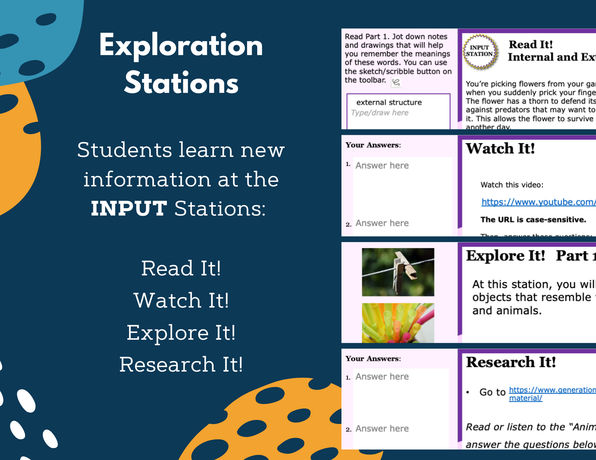Internal & External Structures - Complete Lesson Plan - NGSS 4-LS1-1 - 4th Grade