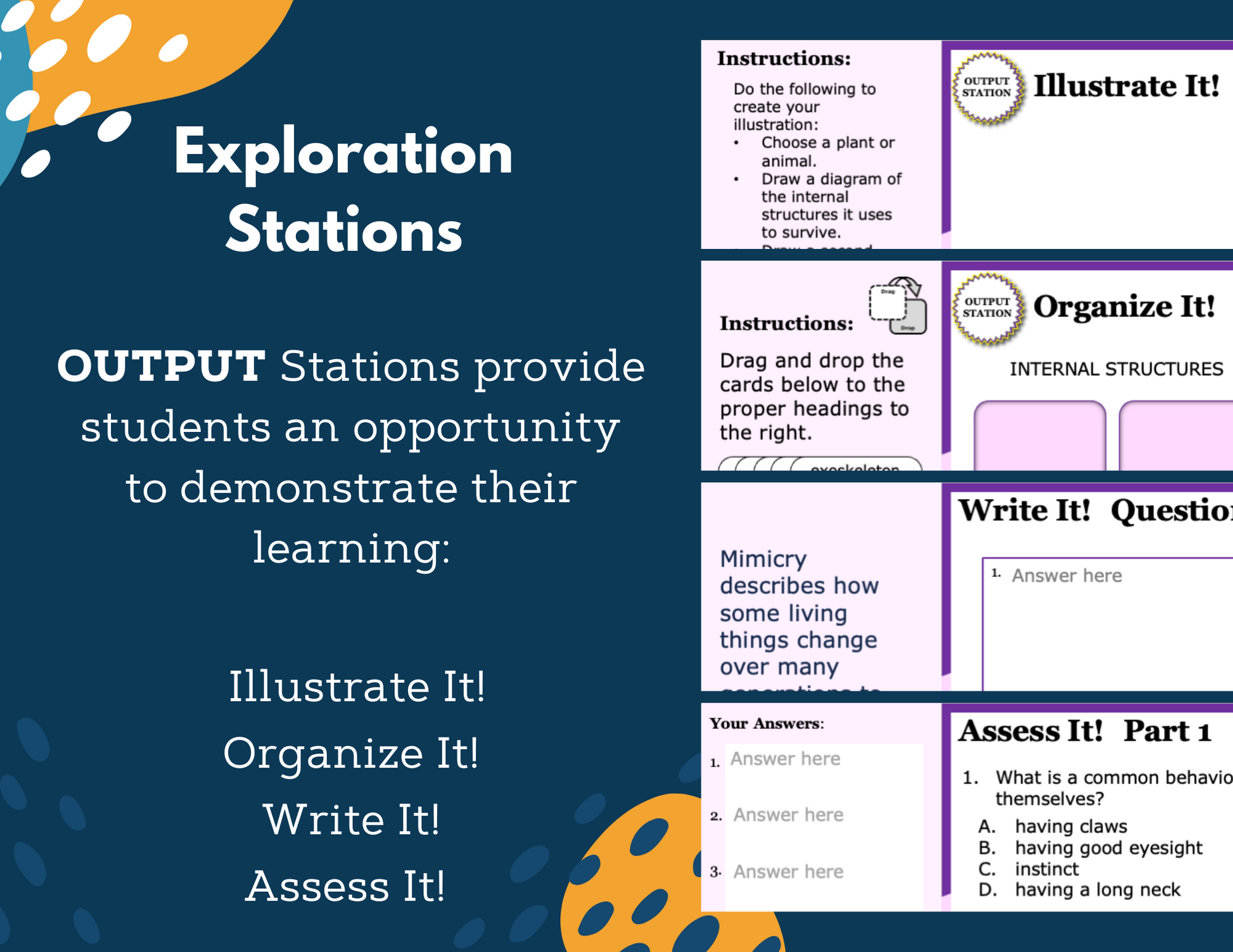 Internal & External Structures - Complete Lesson Plan - NGSS 4-LS1-1 - 4th Grade