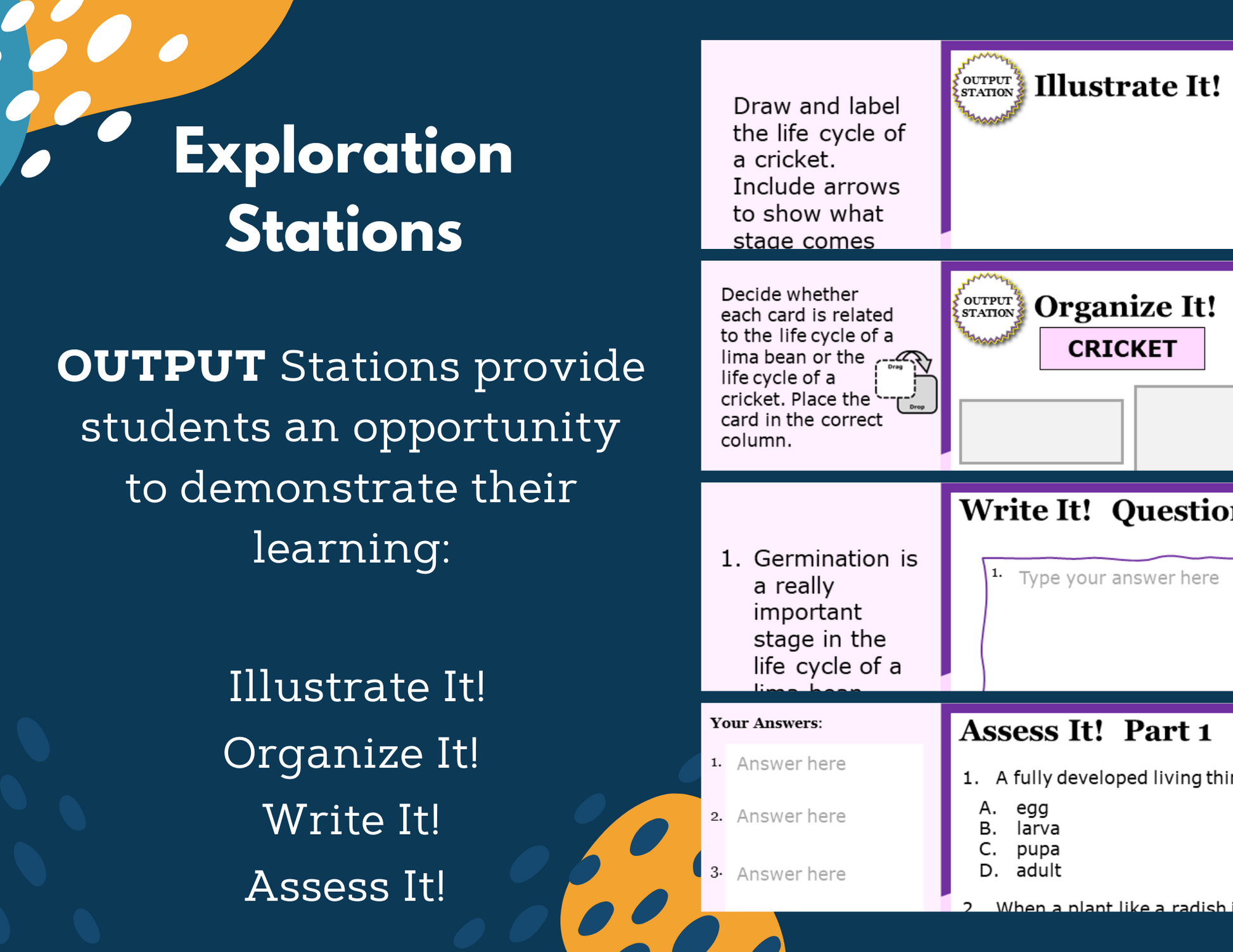 Life Cycles - Complete Lesson Plan - 4th Grade