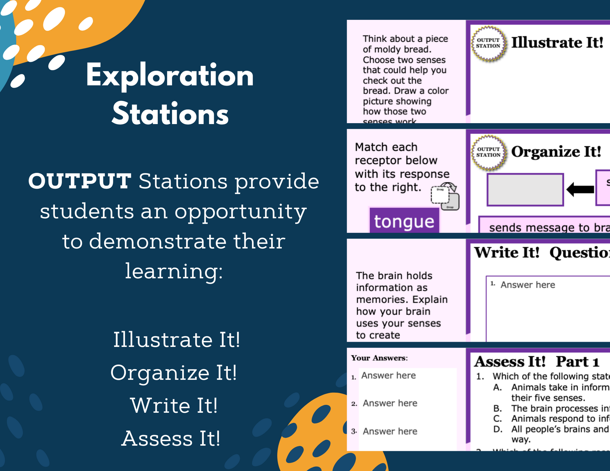 Senses - Receiving & Responding to Information - Complete Lesson Plan - 4th Gr