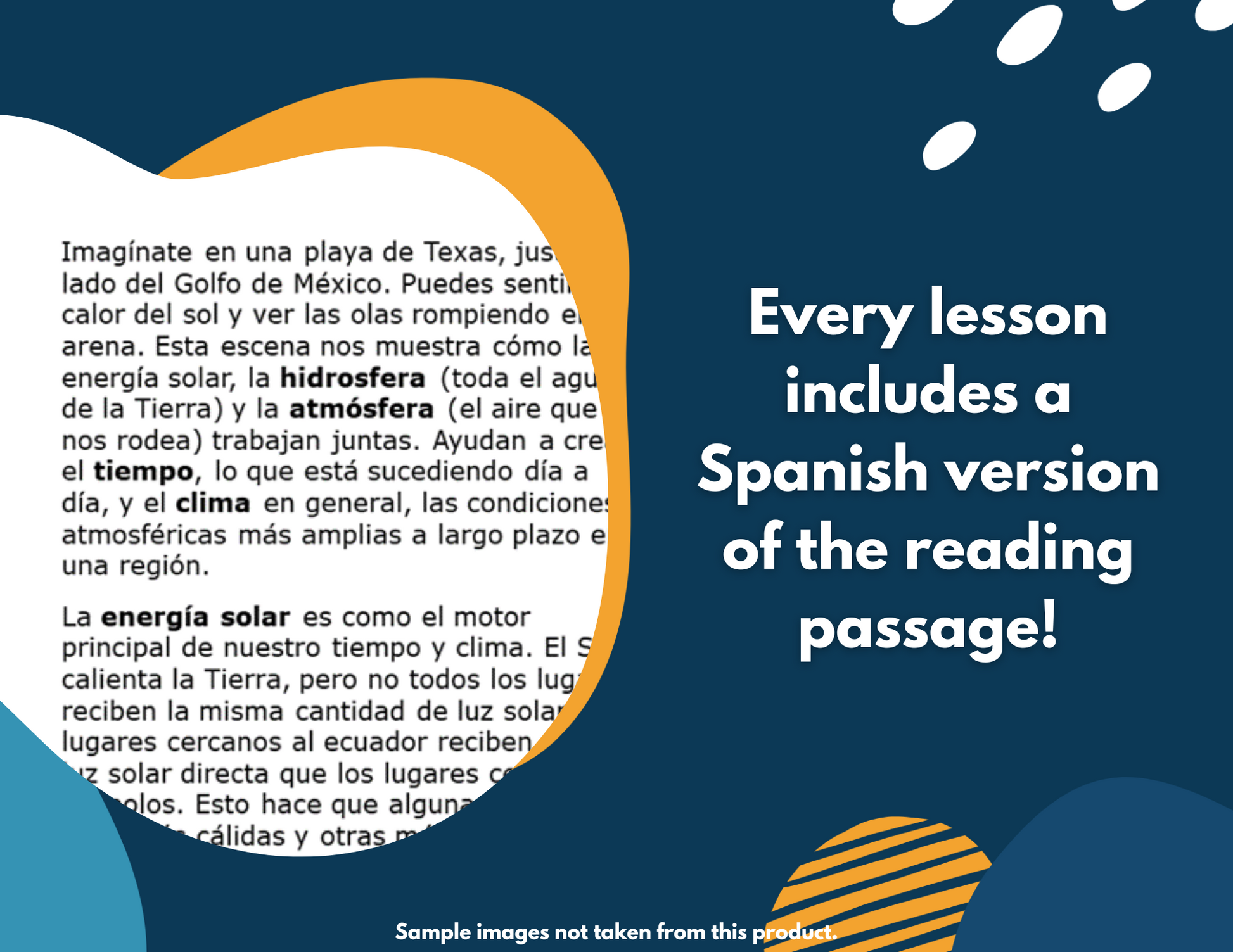 Cell Organelles Complete Science Lesson - New TEKS 8.13A