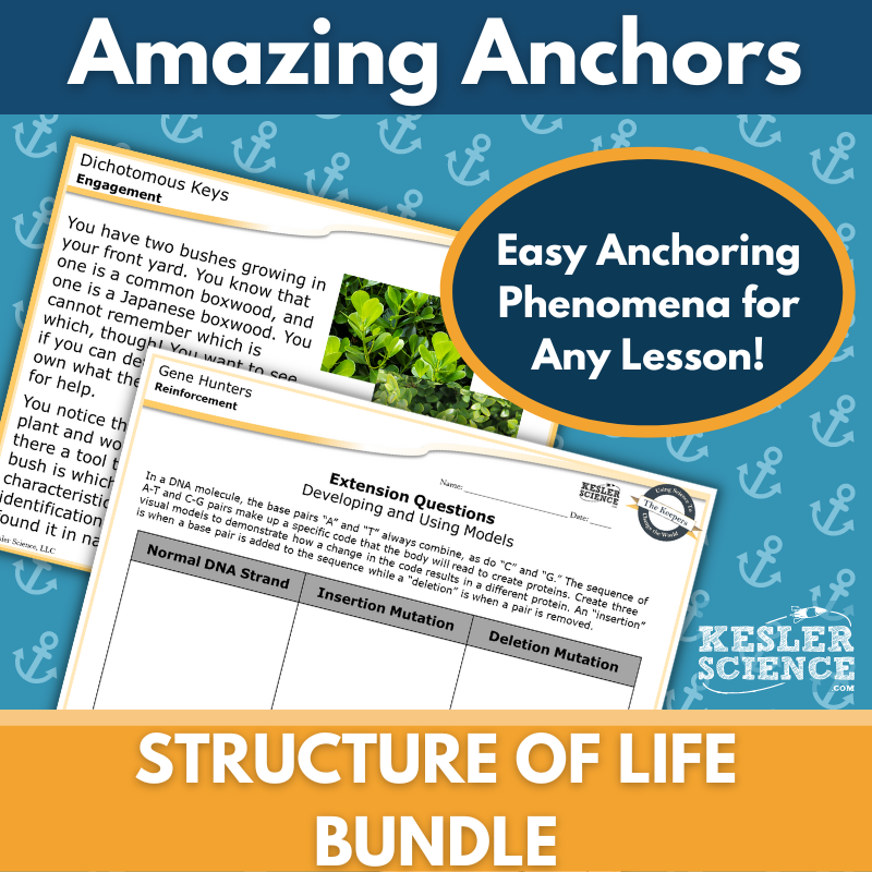 Amazing Anchors: Structure of Life Bundle MS 6-8