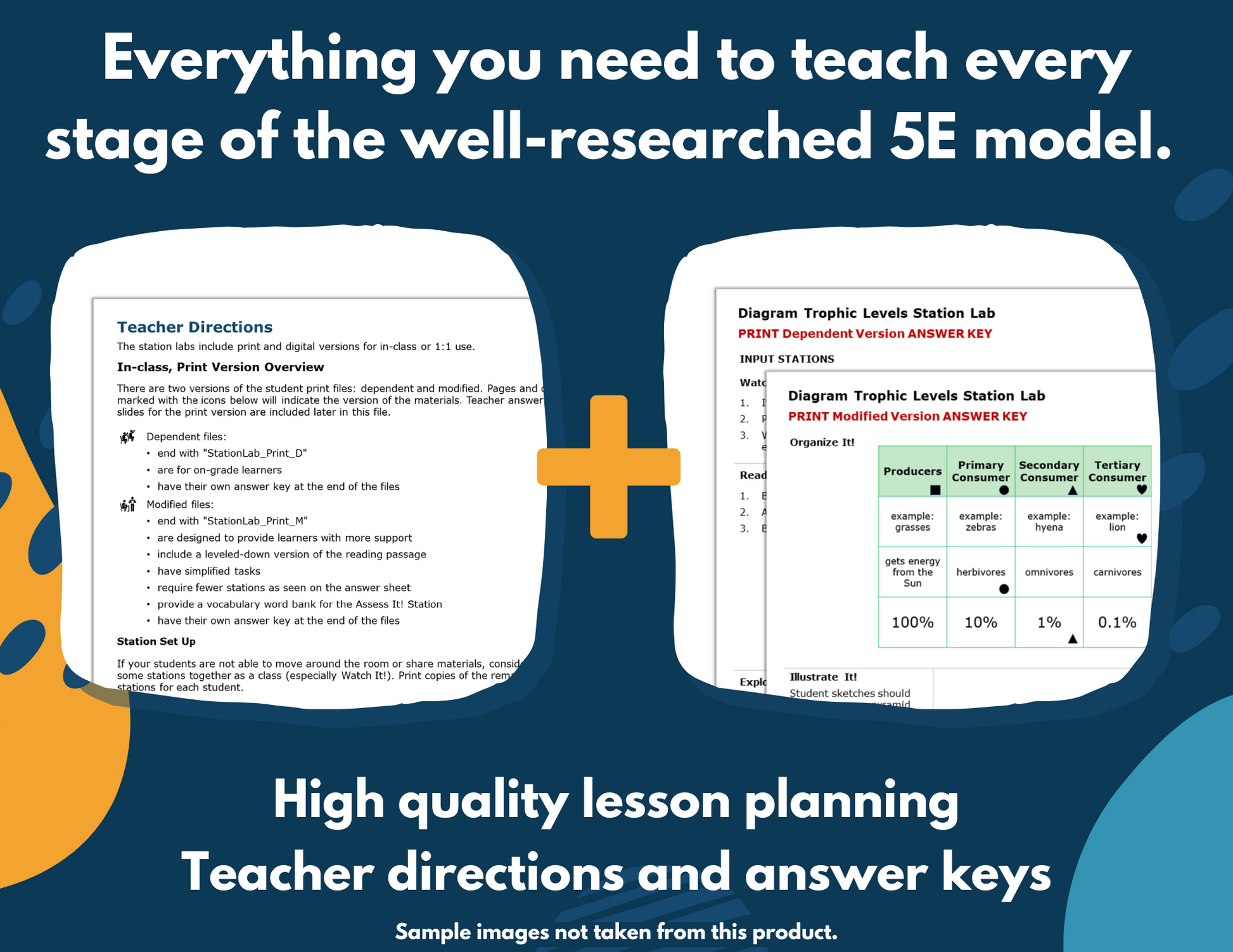 Characteristics of Kingdoms Complete Science Lesson - New TEKS 7.14B