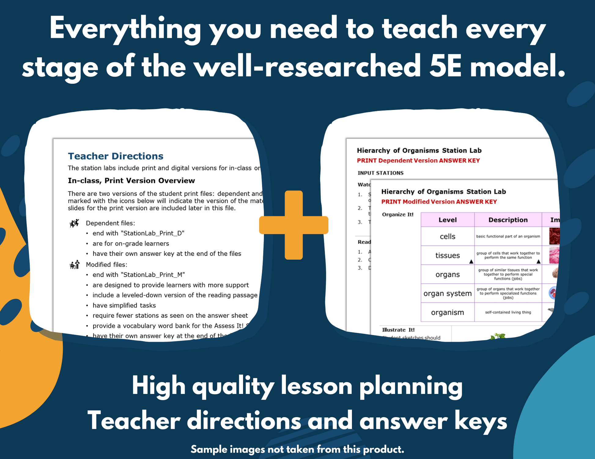 Development of Cell Theory Complete Science Lesson - New TEKS 6.13A