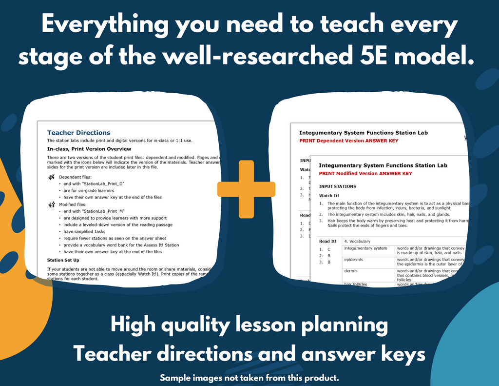 Circulatory System Functions Complete Science Lesson - New TEKS 7.13A