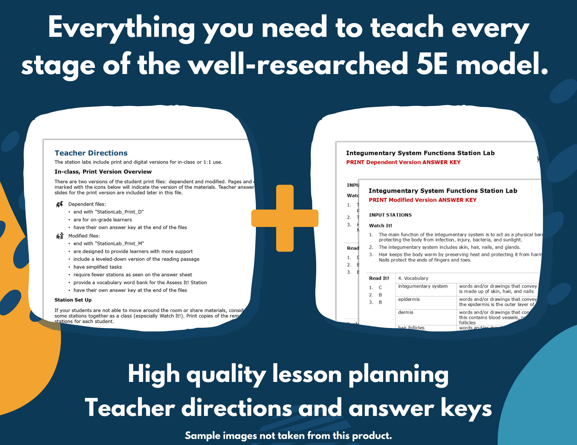 Circulatory System Functions Complete Science Lesson - New TEKS 7.13A