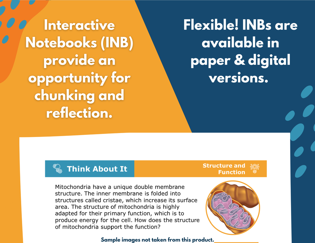 Genes Complete Science Lesson - New TEKS 8.13B