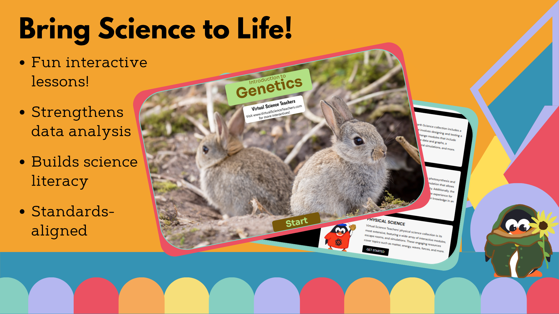 Introduction to Genetics - Worksheet with CER - VST
