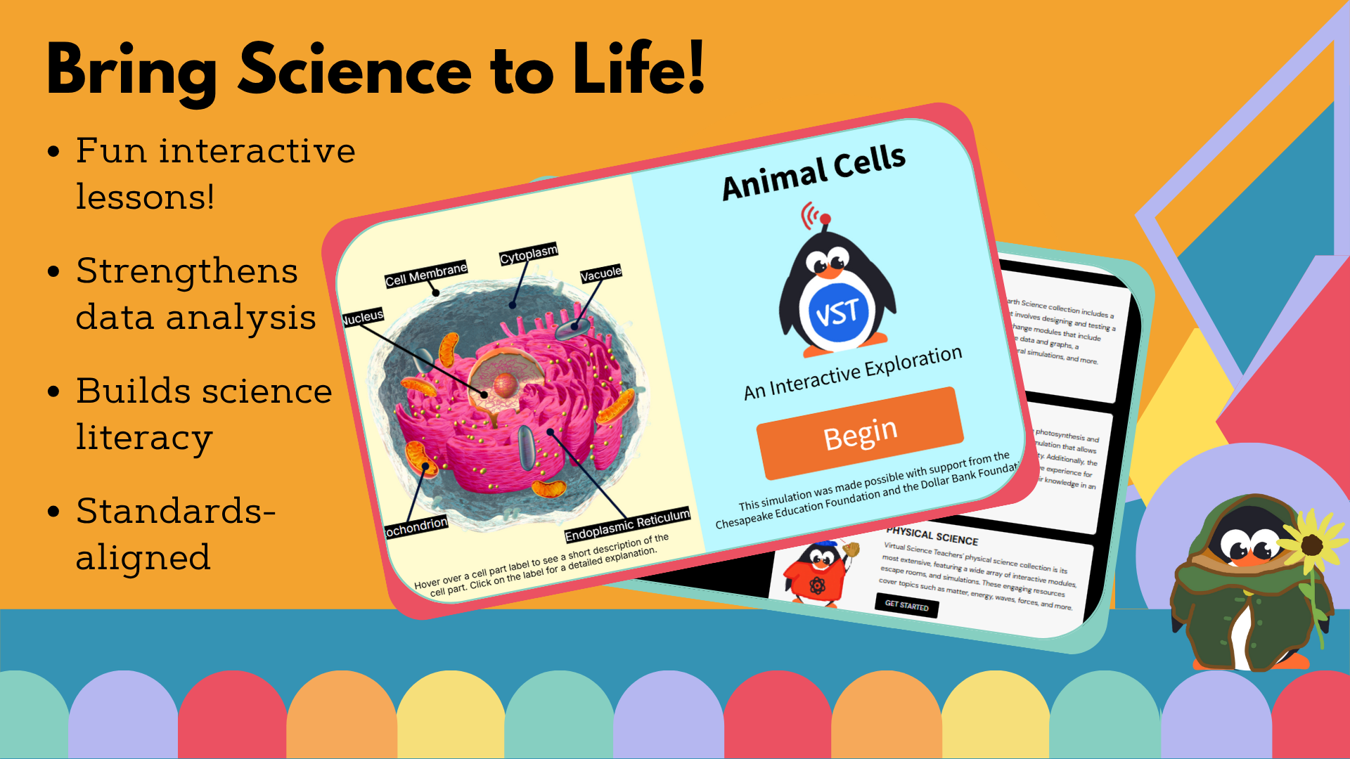 Animal Cells - Worksheet - VST
