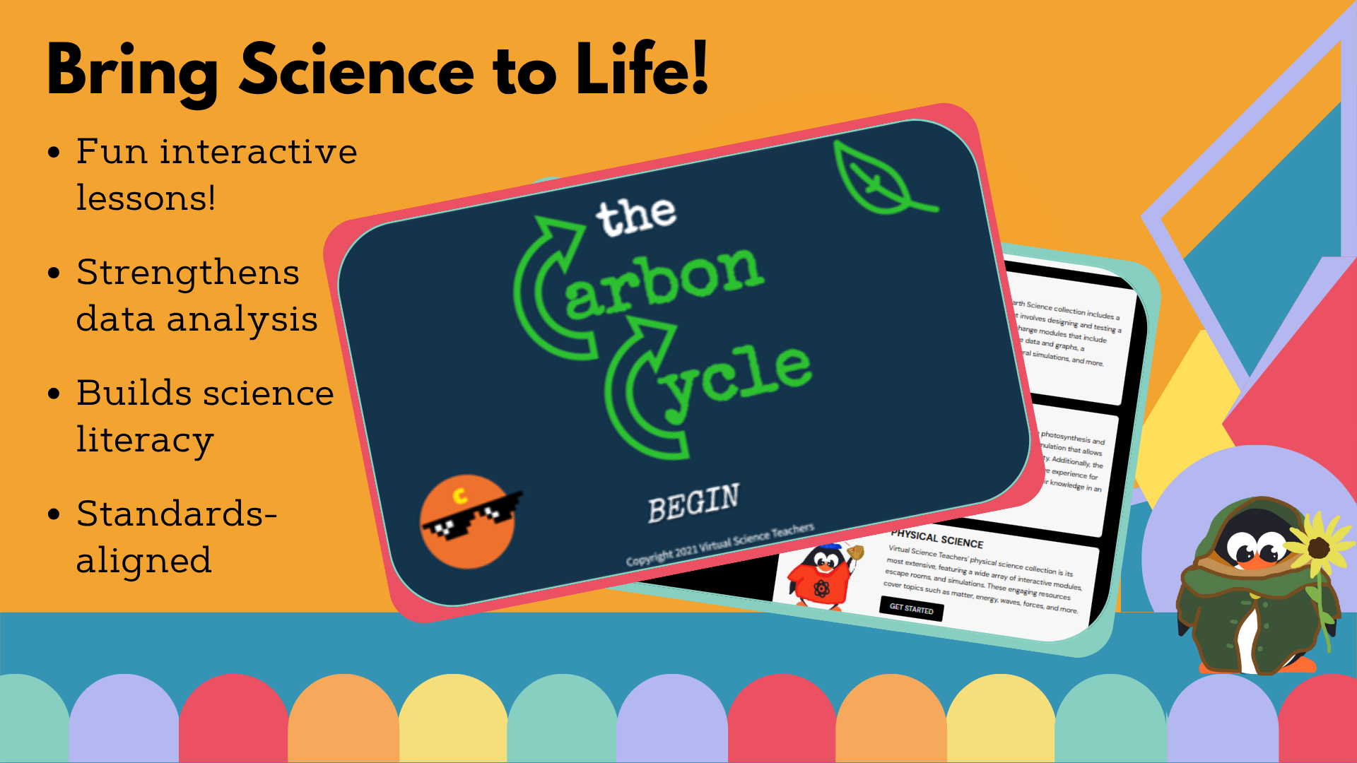 Carbon Cycle Worksheet - VST