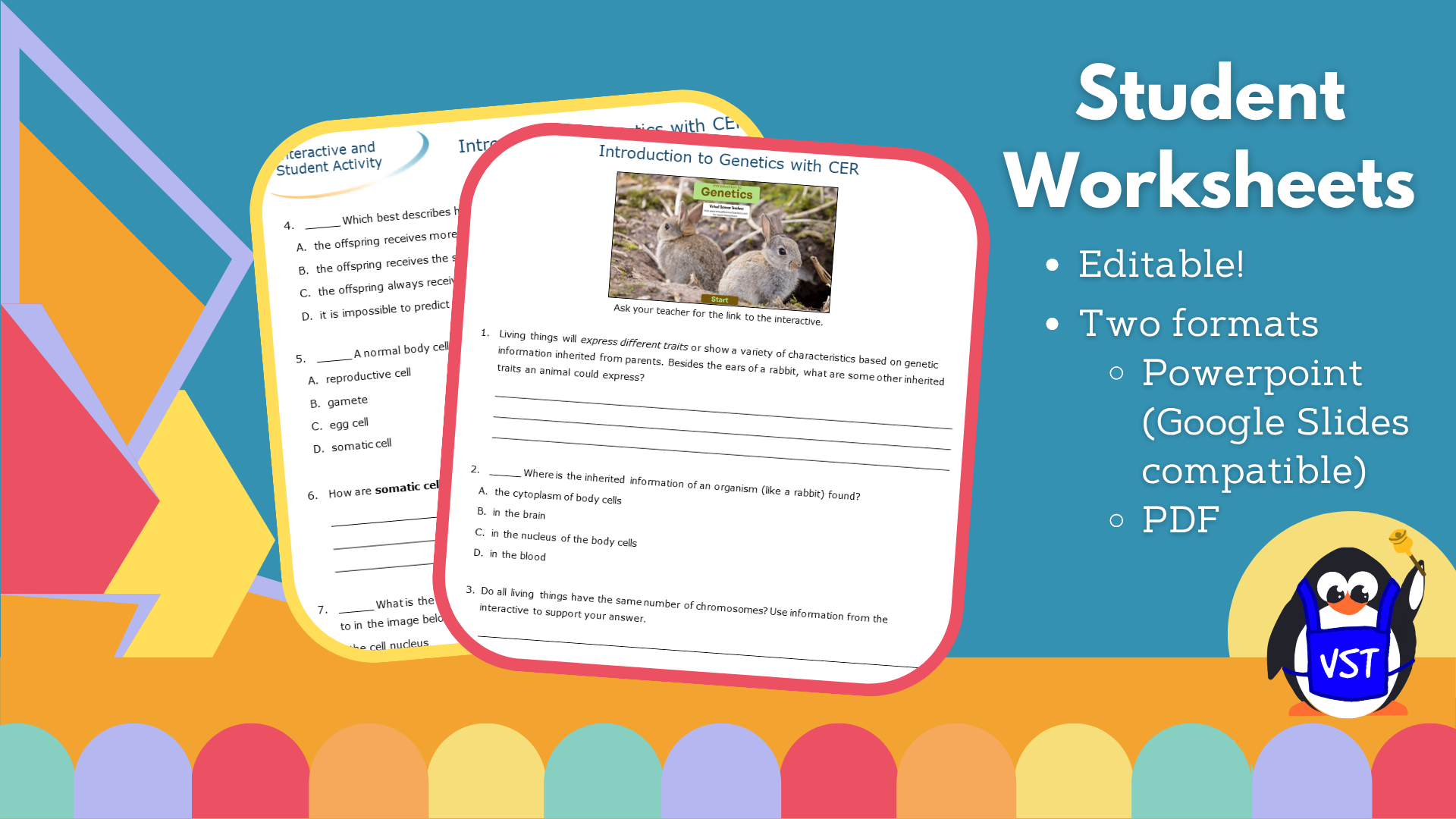 Introduction to Genetics - Worksheet with CER - VST