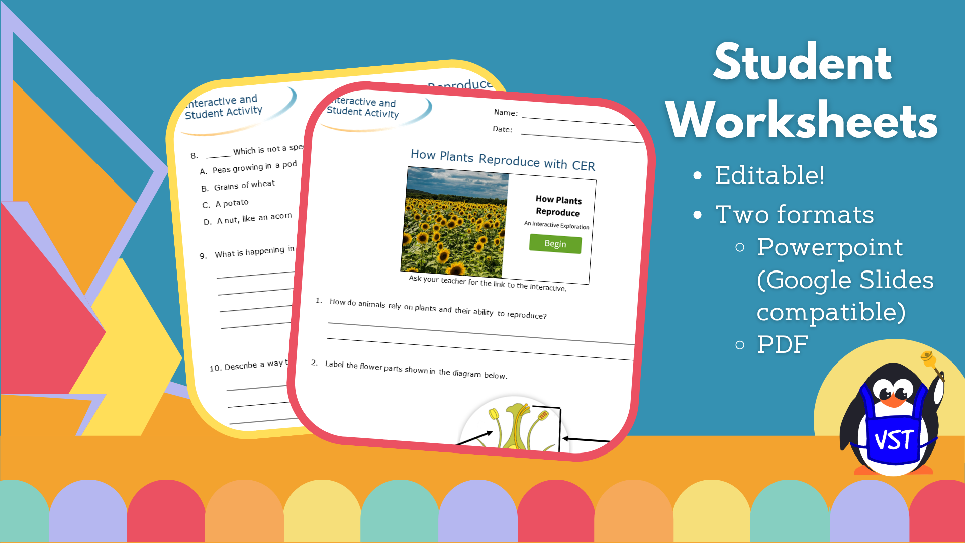 How Plants Reproduce - Worksheet with CER - VST