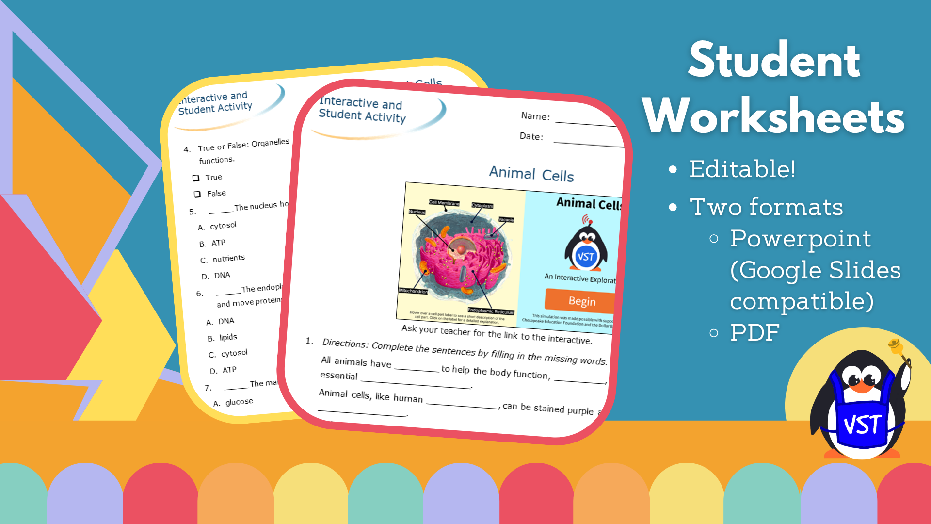 Animal Cells - Worksheet - VST