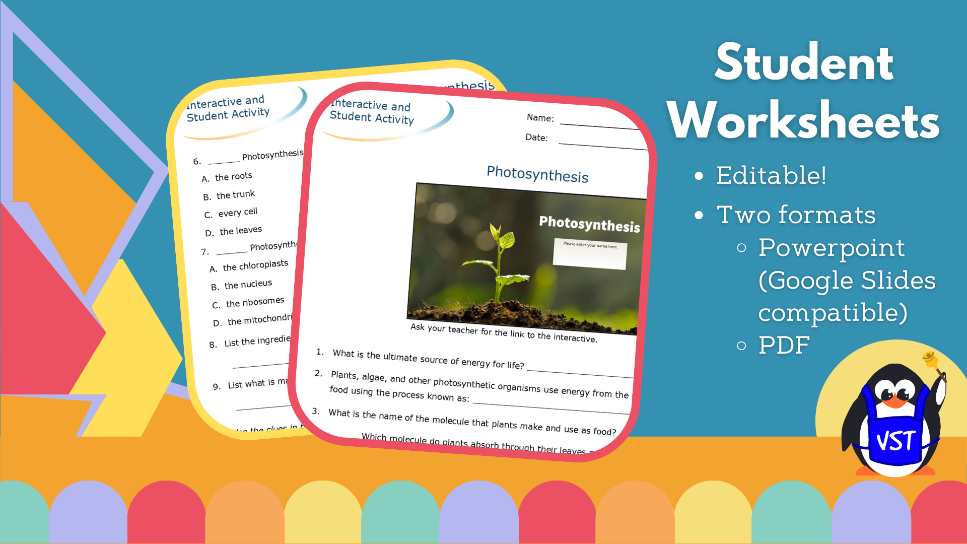 Photosynthesis Worksheet & Crossword - VST