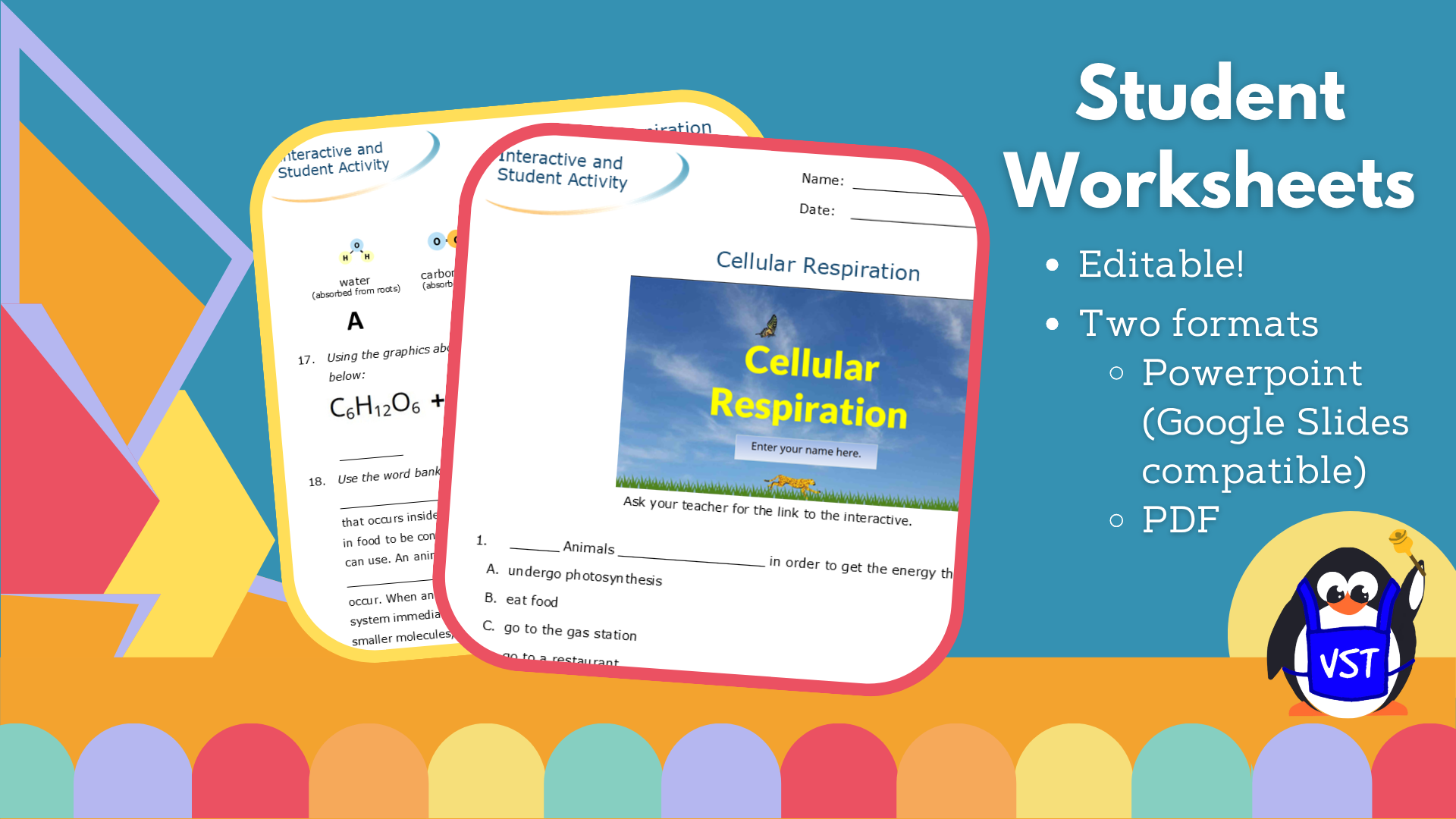 Cellular Respiration Worksheet with CER - VST