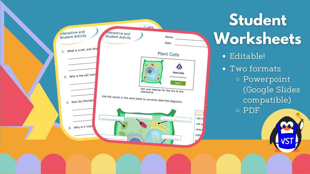 Plant Cells Worksheet, CER, & Crossword - VST