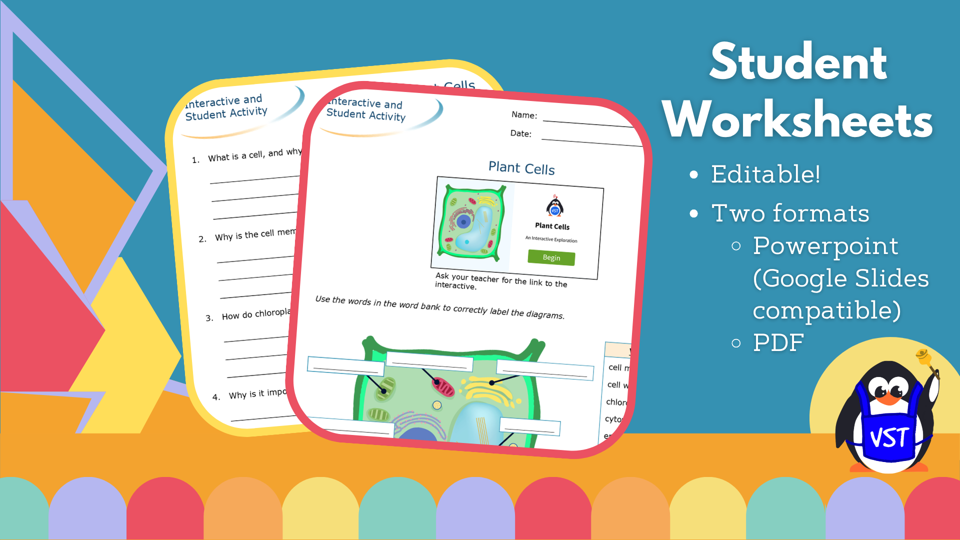 Plant Cells Worksheet, CER, & Crossword - VST