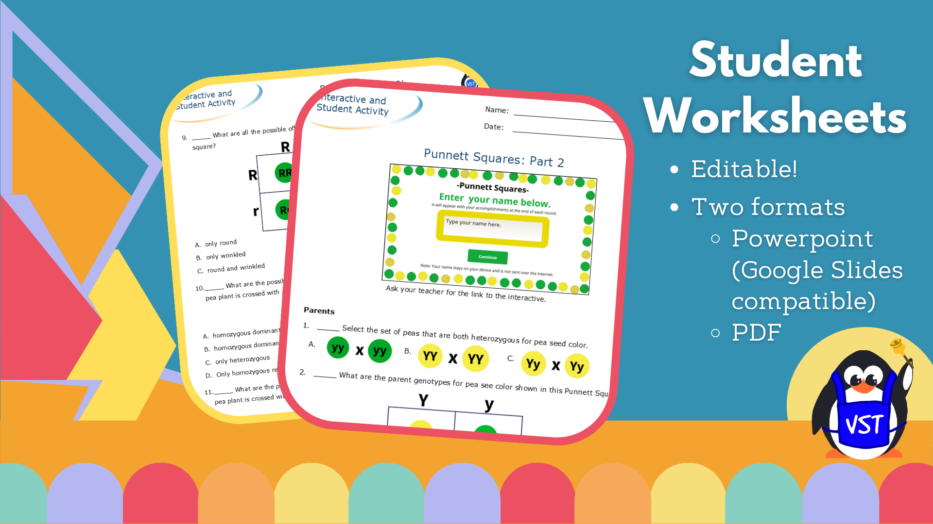 Punnett Squares, Part 2 Worksheet - VST