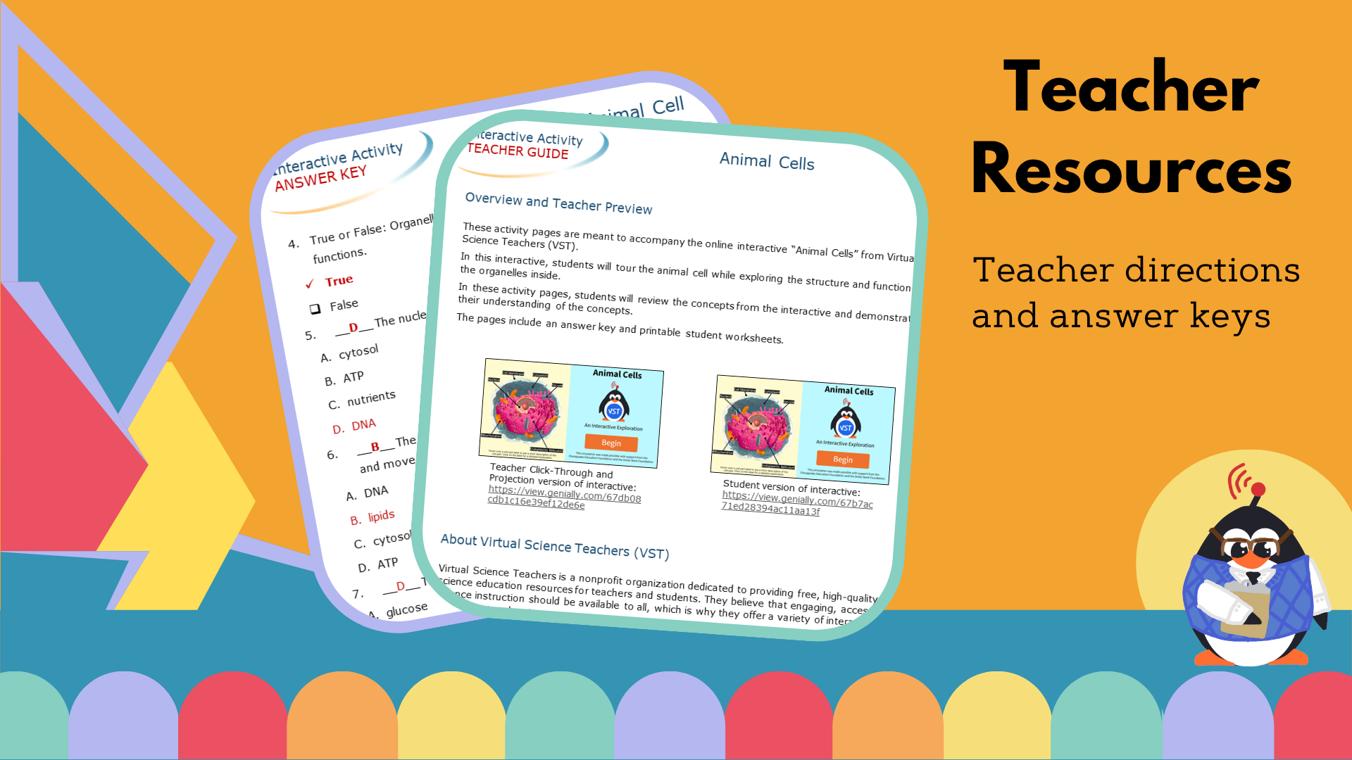 Animal Cells - Worksheet - VST