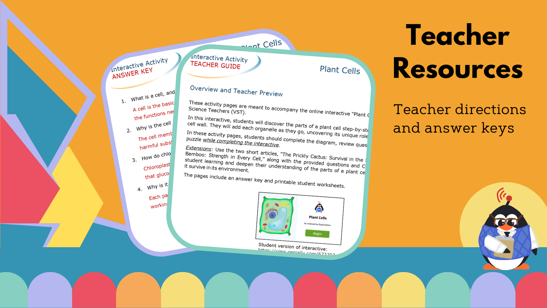 Plant Cells Worksheet, CER, & Crossword - VST