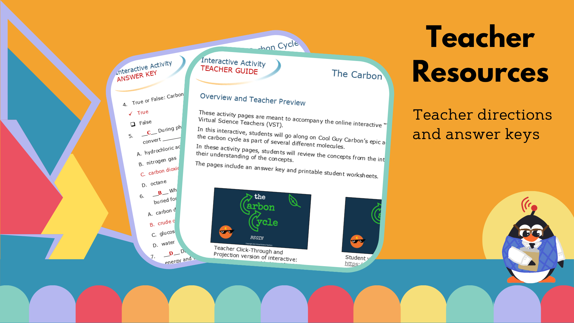 Carbon Cycle Worksheet - VST