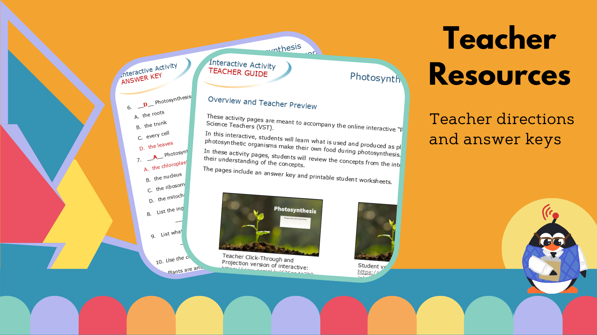 Photosynthesis Worksheet & Crossword - VST