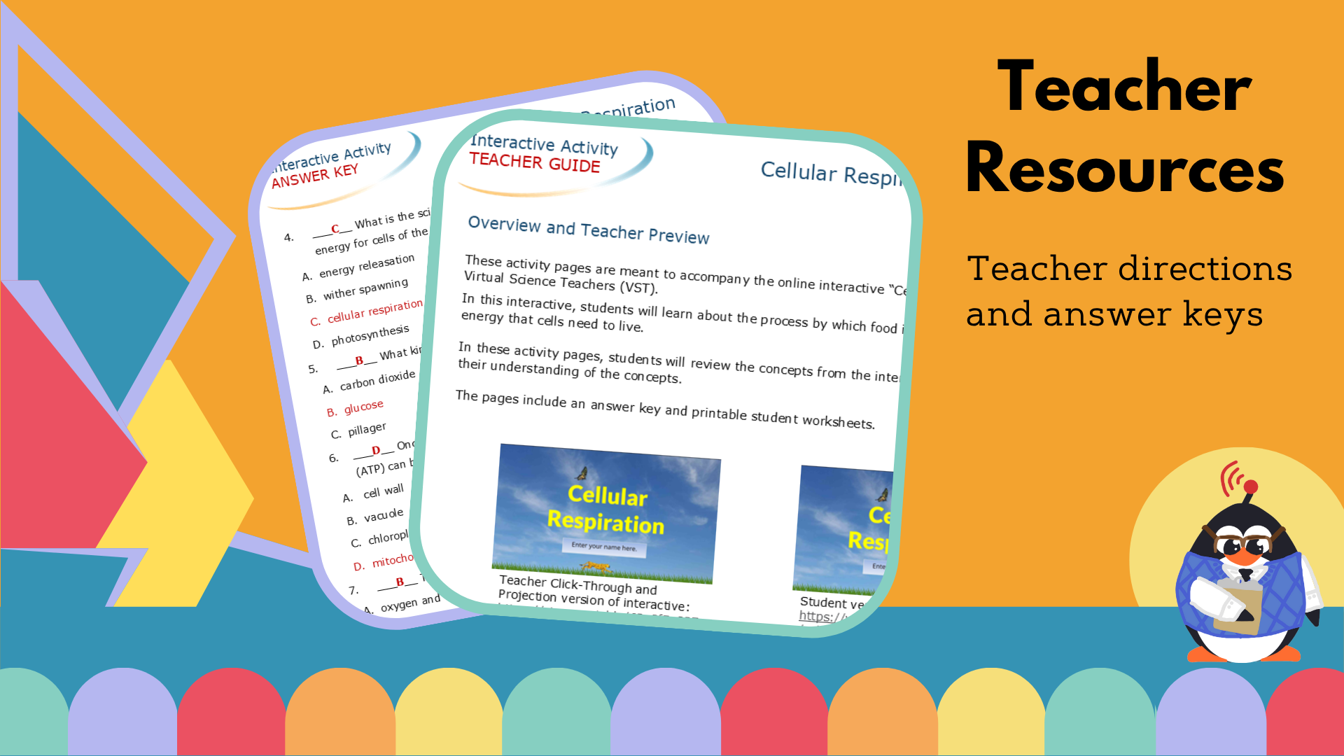 Cellular Respiration Worksheet with CER - VST
