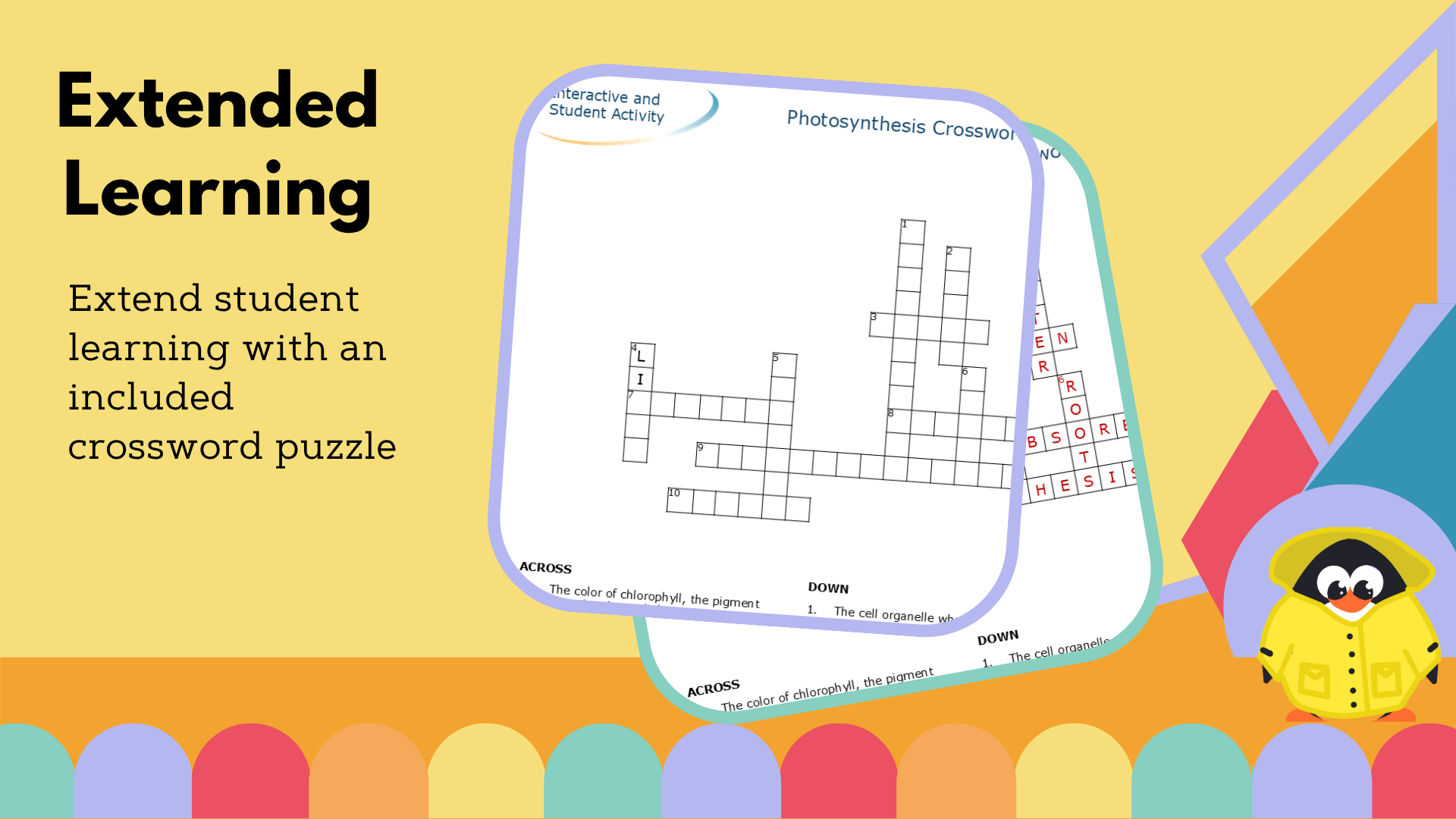 Photosynthesis Worksheet & Crossword - VST