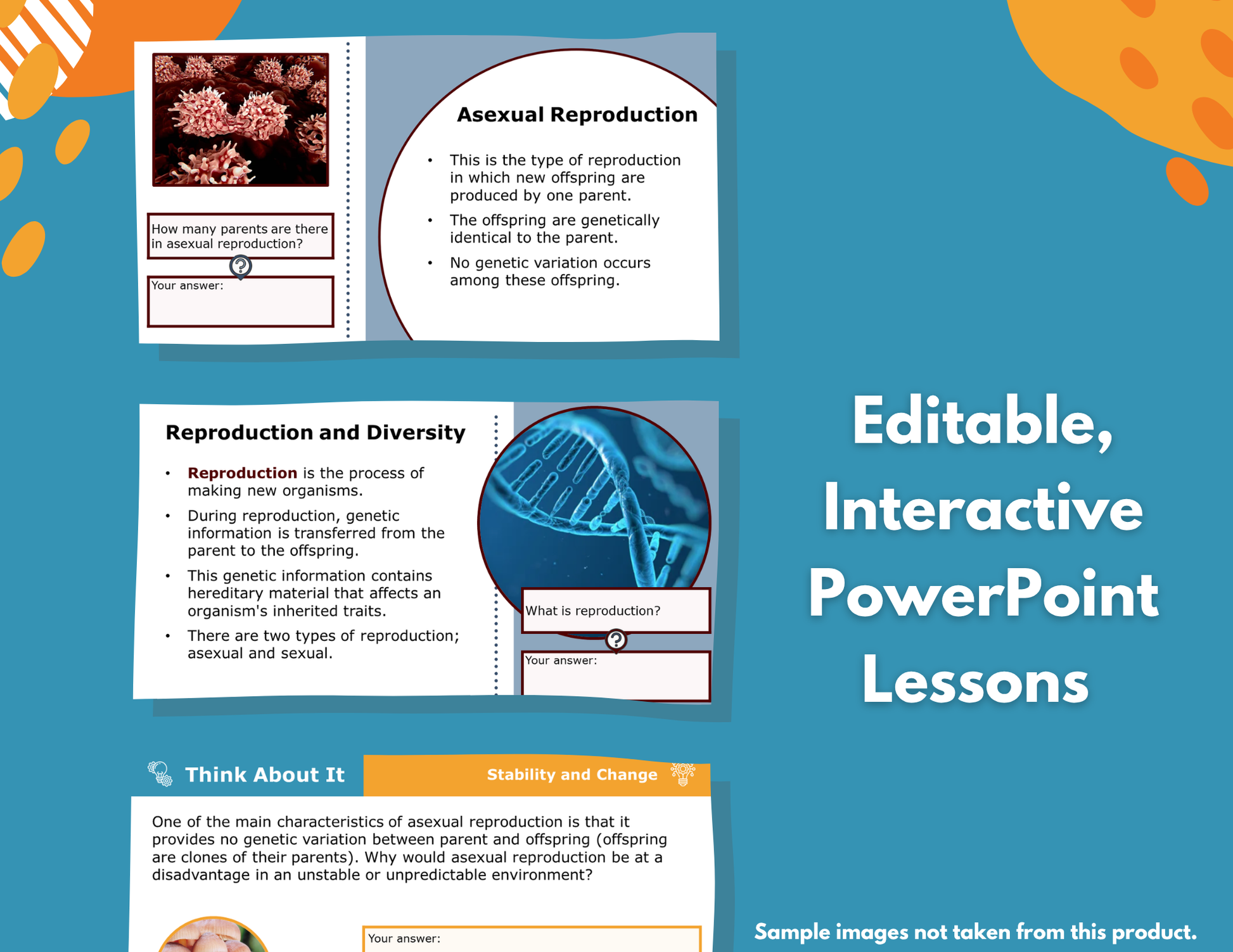 Cell Organelles Complete Science Lesson - New TEKS 8.13A