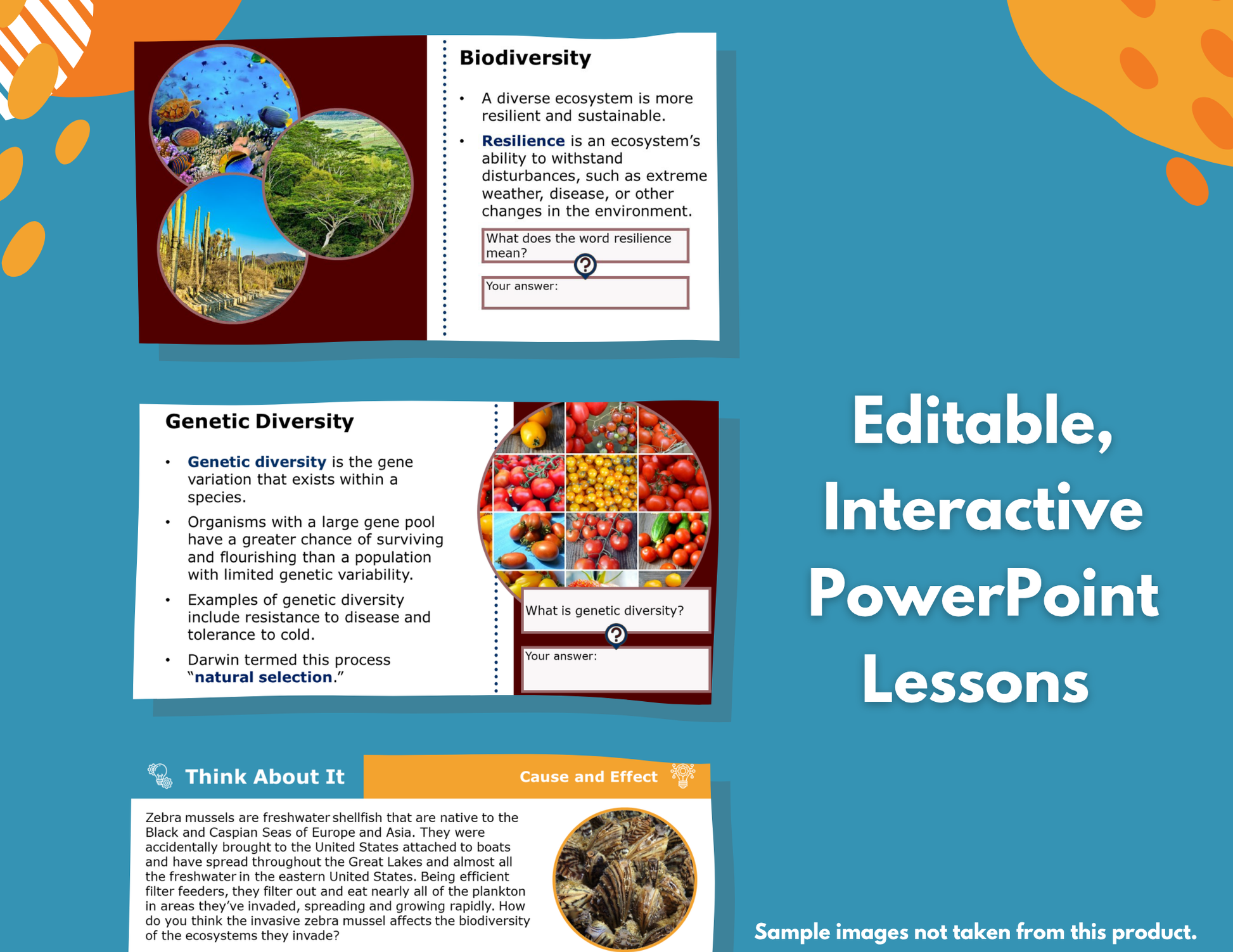 Biotic & Abiotic Competition Complete Science Lesson - New TEKS 6.12A