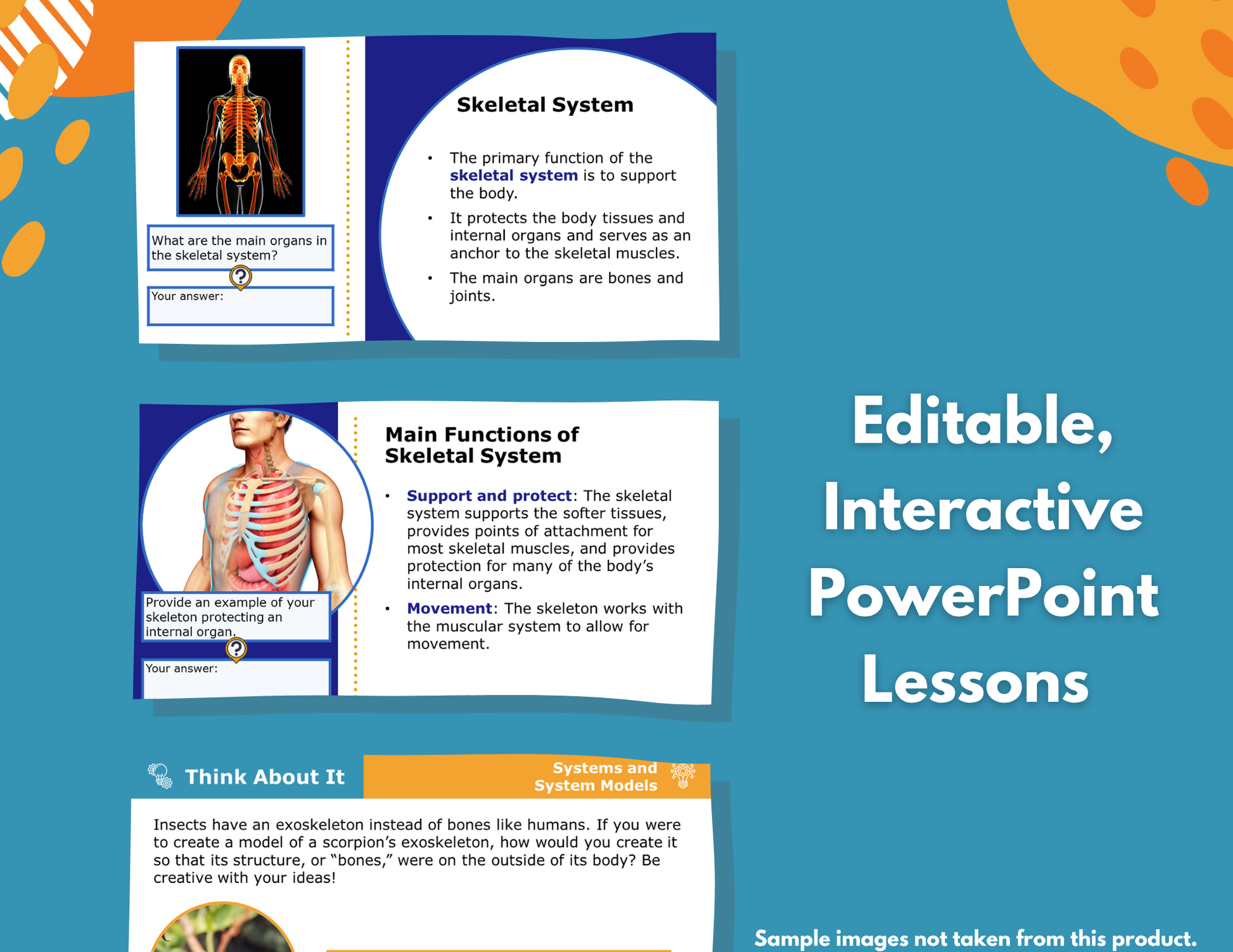Circulatory System Functions Complete Science Lesson - New TEKS 7.13A
